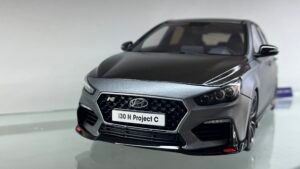 IMG_8113 Hyundai i30 N Project C