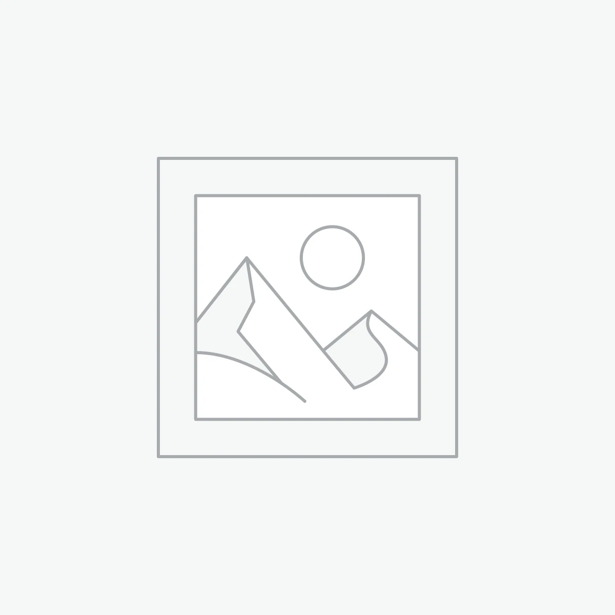 ŠKODA ENYAQ COUPÉ RS iV